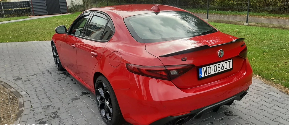 Alfa Romeo Giulia cena 115900 przebieg: 19000, rok produkcji 2022 z Warszawa małe 562